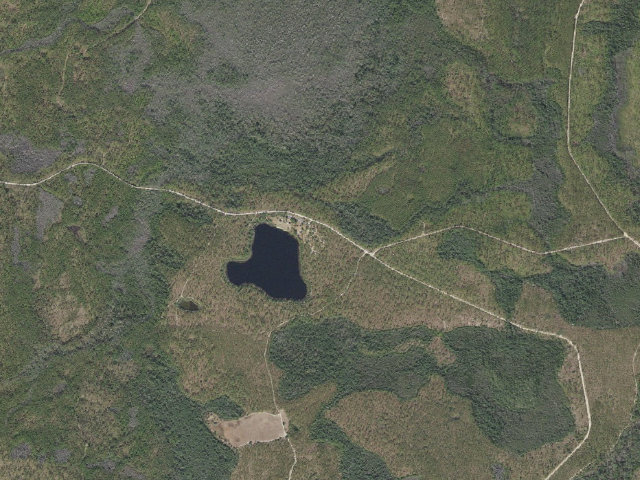 Aerial image of Camel Lake Recreation Area Apalachicola National Forest