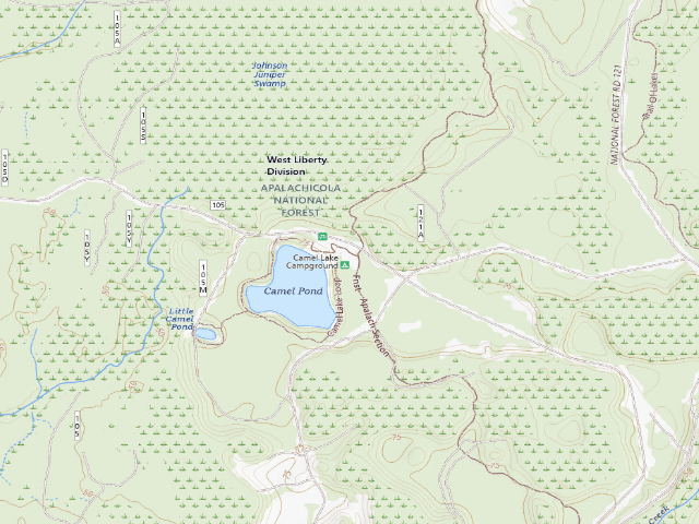USGS topographic map of Camel Lake Recreation Area Apalachicola National Forest