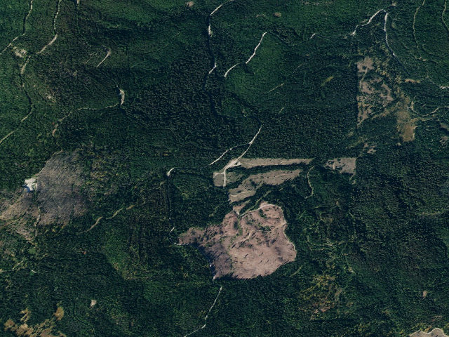 Aerial image of Camp 44