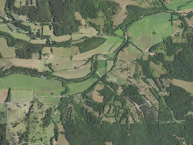 Aerial image of Camp Branch Access