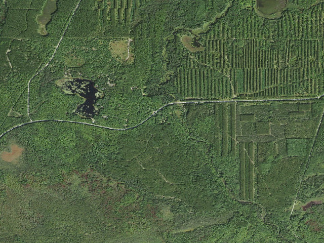 Aerial image of Camp Cook Camping Area
