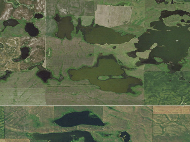 Aerial image of Camp Lake WMA (McIntosh County)