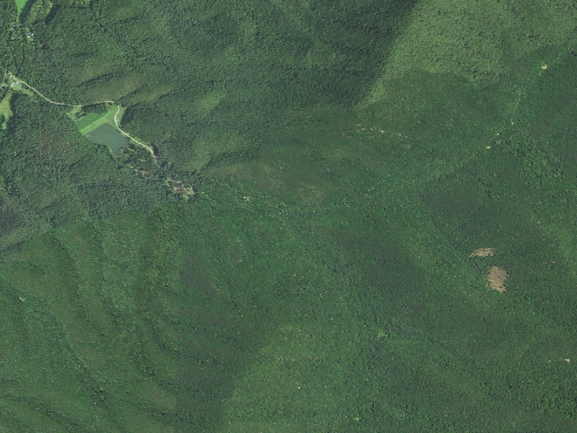 Aerial image of Camp Run Campground