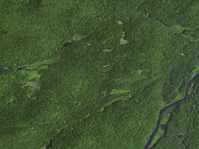 Aerial image of Camp Six Road Roadside Tentsite [DEC #3618] (Blue Mountain Wild Forest)