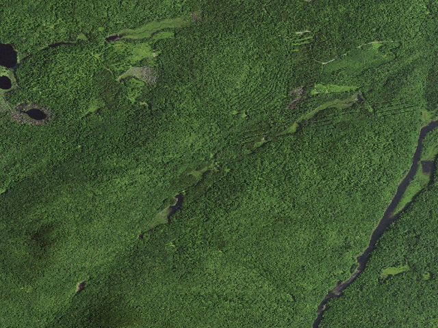 Aerial image of Camp Six Road Roadside Tentsite [DEC #3621] (Blue Mountain Wild Forest)