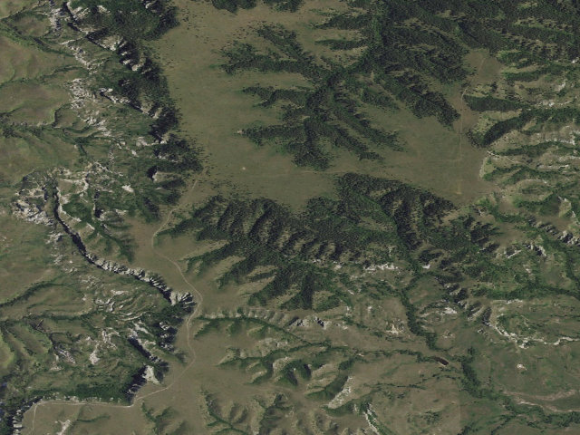 Aerial image of Camp Spring