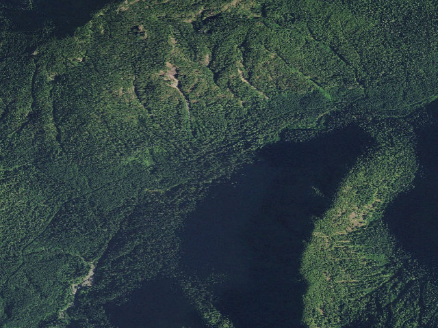 Aerial image of Campbell Tree Grove Campground
