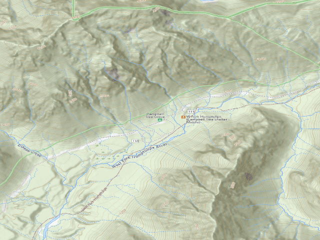 USGS topographic map of Campbell Tree Grove