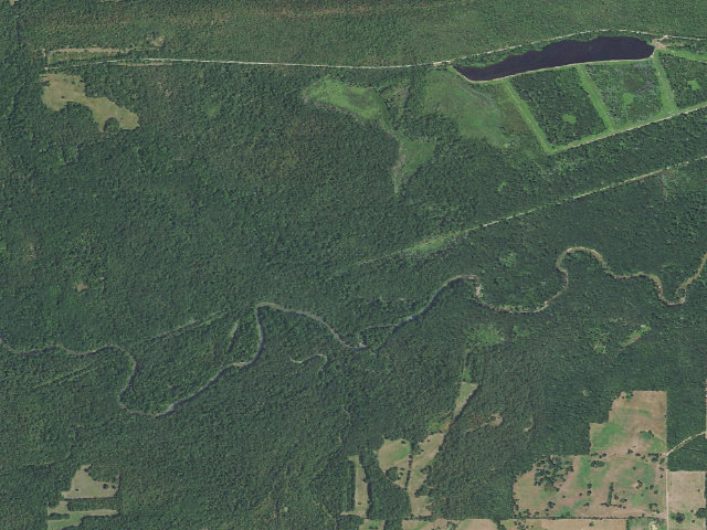 Aerial image of Camping (Wister WMA)