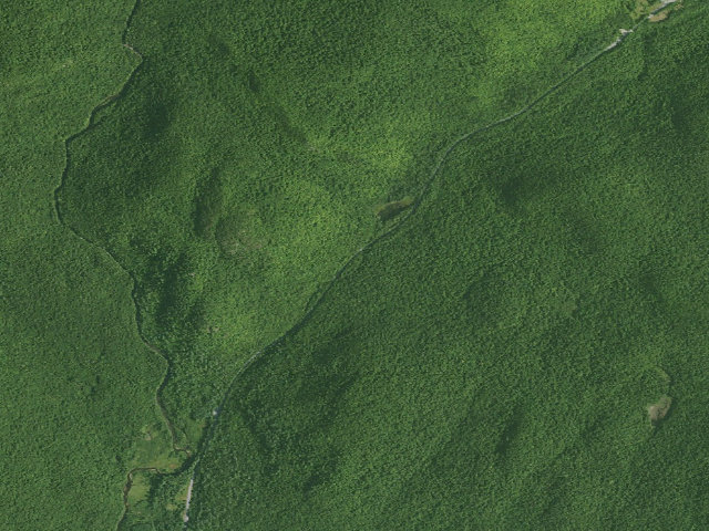 Aerial image of Campsite 001 (Wilcox Lake Wild Forest)