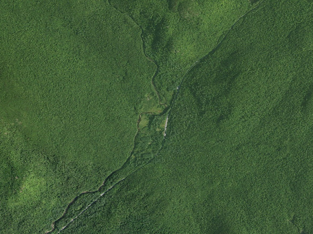 Aerial image of Campsite 002 (Wilcox Lake Wild Forest)