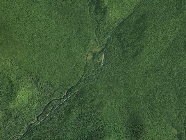 Aerial image of Campsite 003 (Wilcox Lake Wild Forest)
