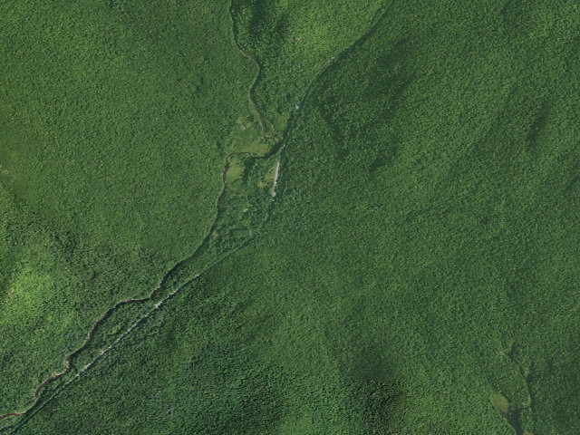 Aerial image of Campsite 004 (Wilcox Lake Wild Forest)