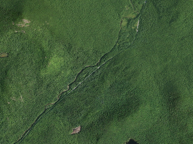 Aerial image of Campsite 005 (Wilcox Lake Wild Forest)