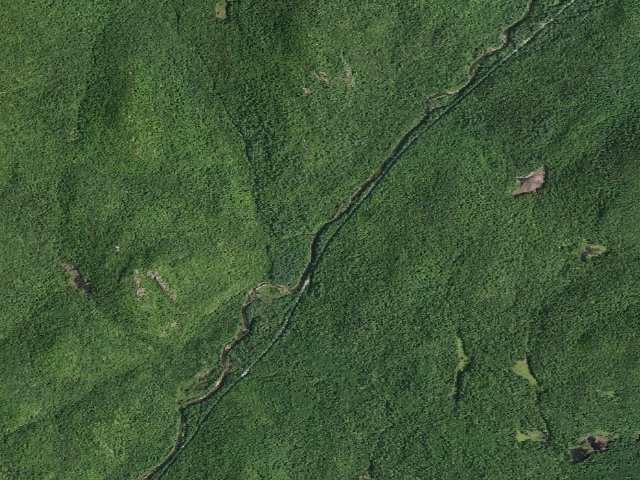 Aerial image of Campsite 006 (Wilcox Lake Wild Forest)
