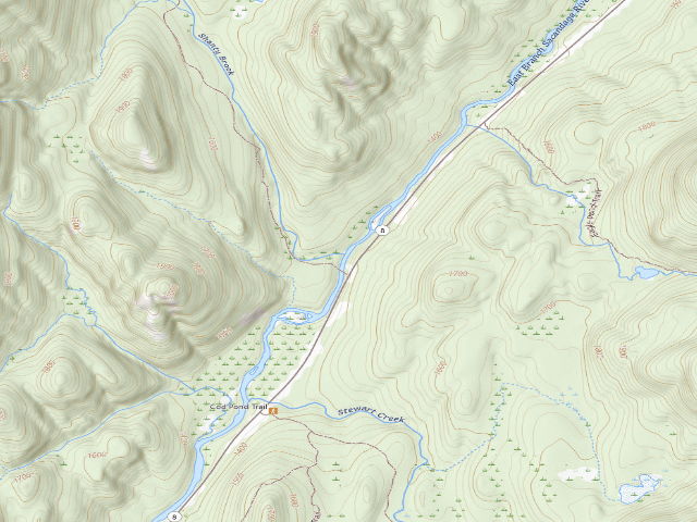 USGS topographic map of Campsite 006 (Wilcox Lake Wild Forest)