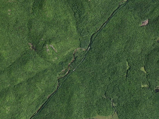 Aerial image of Campsite 007 (Wilcox Lake Wild Forest)