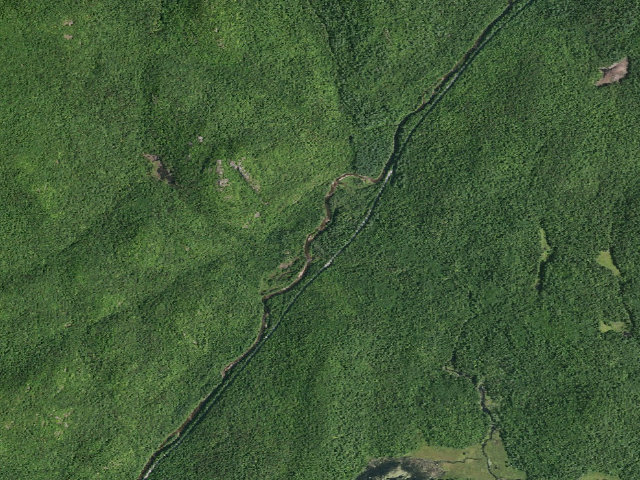 Aerial image of Campsite 008 (Wilcox Lake Wild Forest)