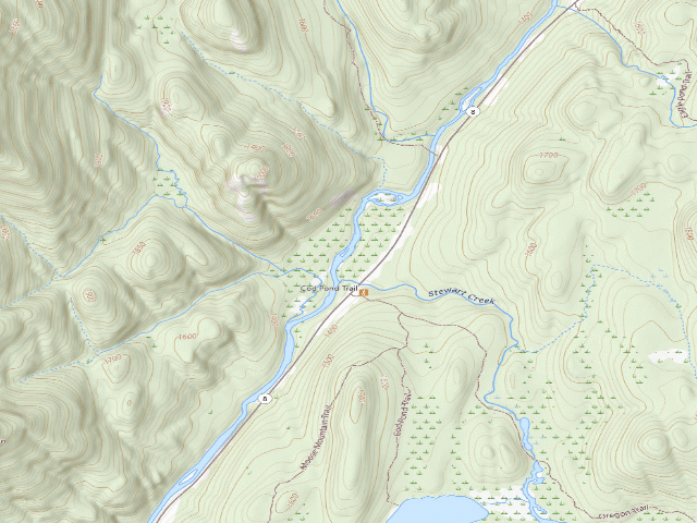 USGS topographic map of Campsite 008 (Wilcox Lake Wild Forest)