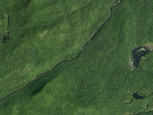 Aerial image of Campsite 009 (Wilcox Lake Wild Forest)