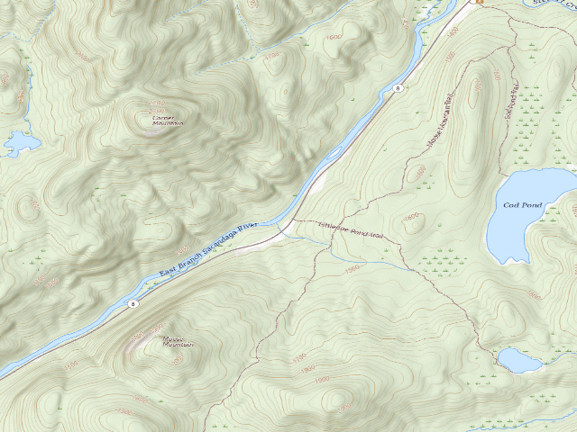 USGS topographic map of Campsite 009 (Wilcox Lake Wild Forest)