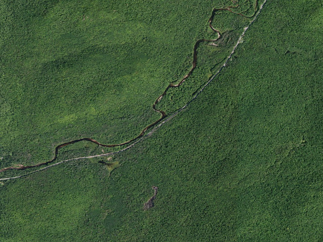 Aerial image of Campsite 010 (Wilcox Lake Wild Forest)