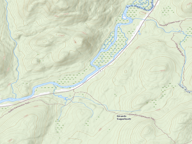 USGS topographic map of Campsite 010 (Wilcox Lake Wild Forest)