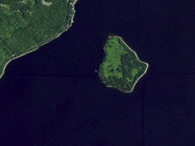 Aerial image of Campsite 1 [DEC #12568] (Schuyler Island Primitive Area)
