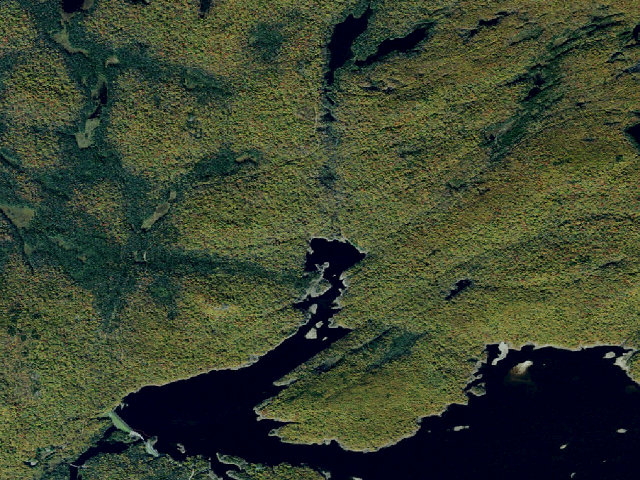 Aerial image of Campsite 1 (Five Ponds Wilderness)