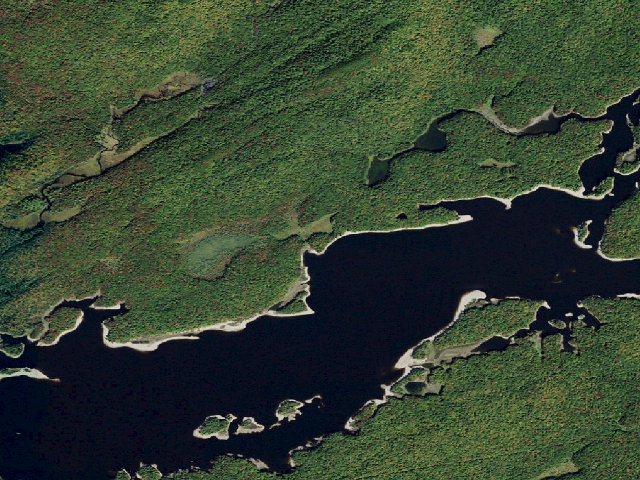 Aerial image of Campsite 11 (Five Ponds Wilderness)