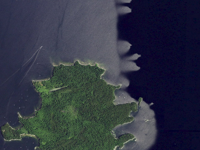 Aerial image of Campsite 11 (Valcour Island Primitive Area)