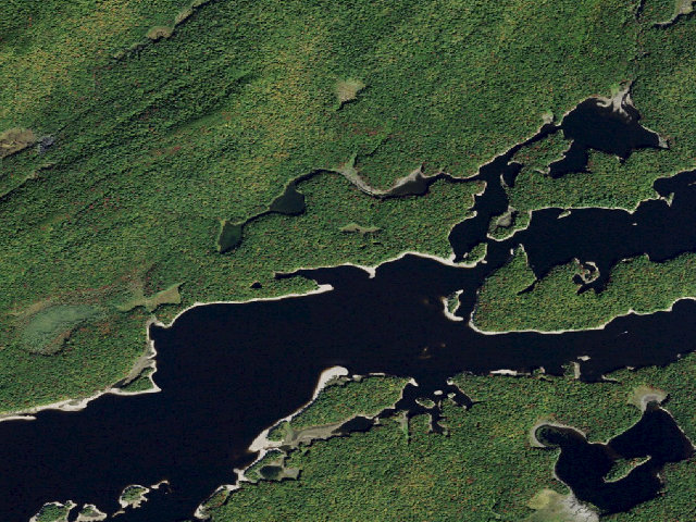 Aerial image of Campsite 13 (Five Ponds Wilderness)