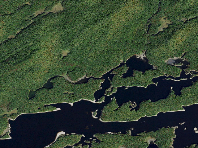 Aerial image of Campsite 15 (Five Ponds Wilderness)