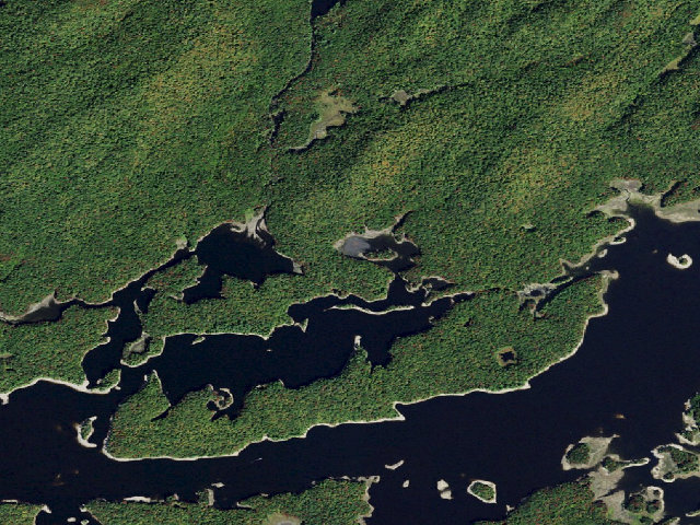 Aerial image of Campsite 17 (Five Ponds Wilderness)