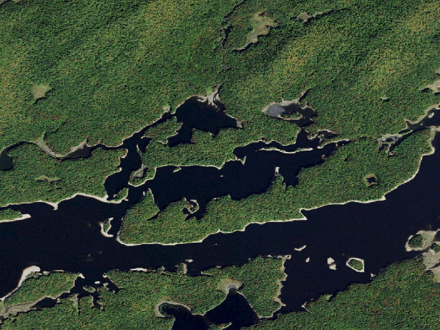 Aerial image of Campsite 19 (Five Ponds Wilderness)