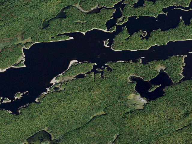 Aerial image of Campsite 20 (Independence River Wild Forest)