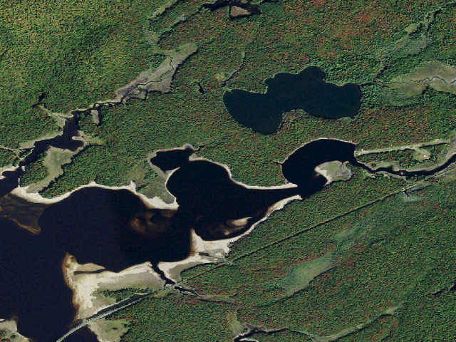 Aerial image of Campsite 26 (Independence River Wild Forest)