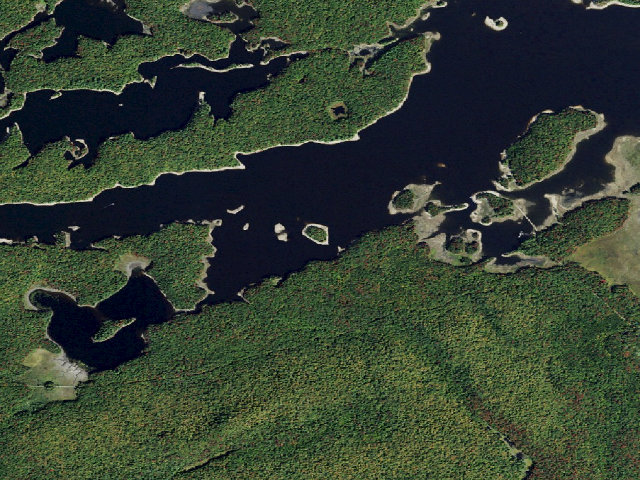 Aerial image of Campsite 27 (Independence River Wild Forest)
