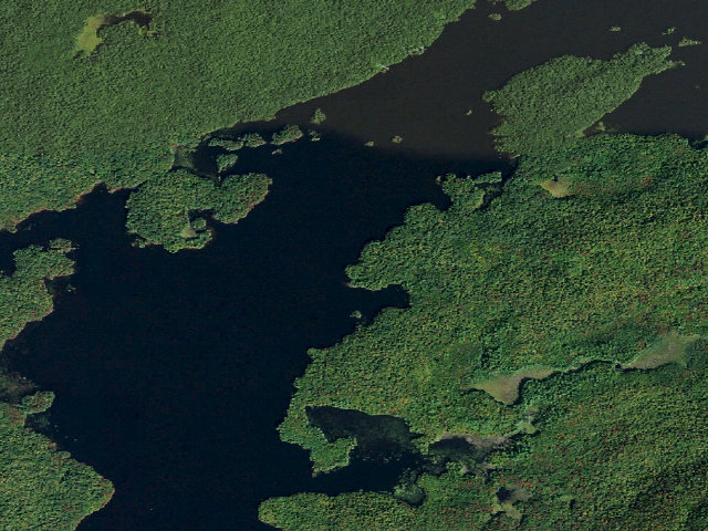 Aerial image of Campsite 28 (Five Ponds Wilderness)