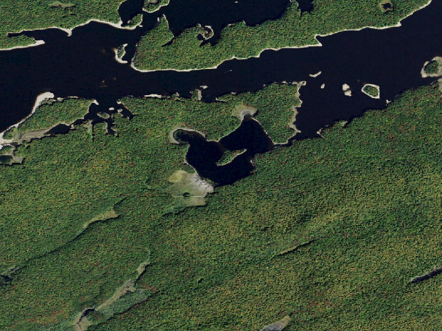 Aerial image of Campsite 28 (Independence River Wild Forest)