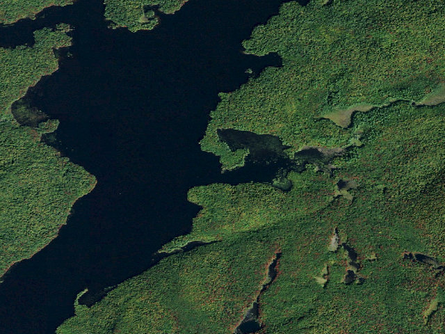 Aerial image of Campsite 29 (Five Ponds Wilderness)