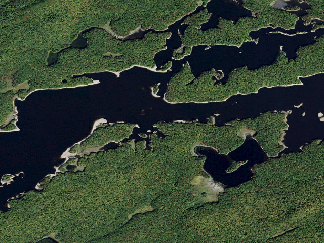 Aerial image of Campsite 29 (Independence River Wild Forest)