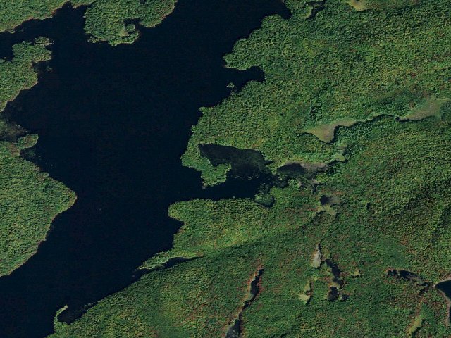 Aerial image of Campsite 30 (Five Ponds Wilderness)