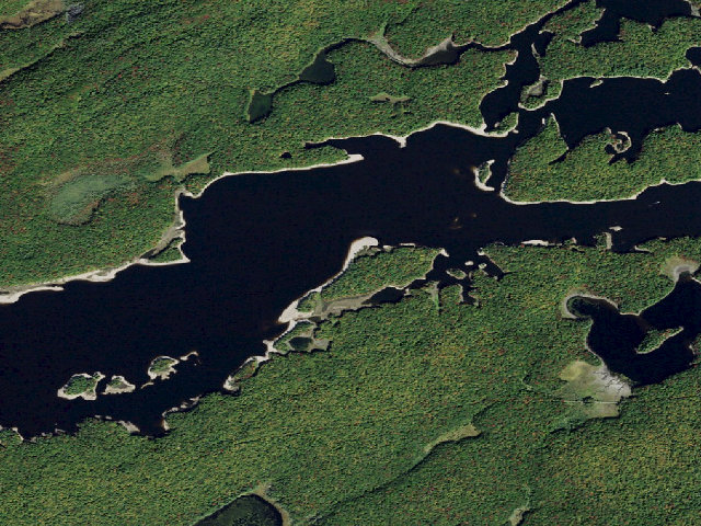 Aerial image of Campsite 30 (Independence River Wild Forest)