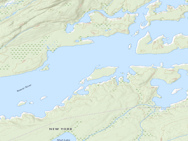 USGS topographic map of Campsite 30 (Independence River Wild Forest)