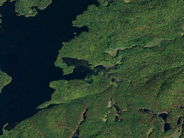 Aerial image of Campsite 31 (Five Ponds Wilderness)
