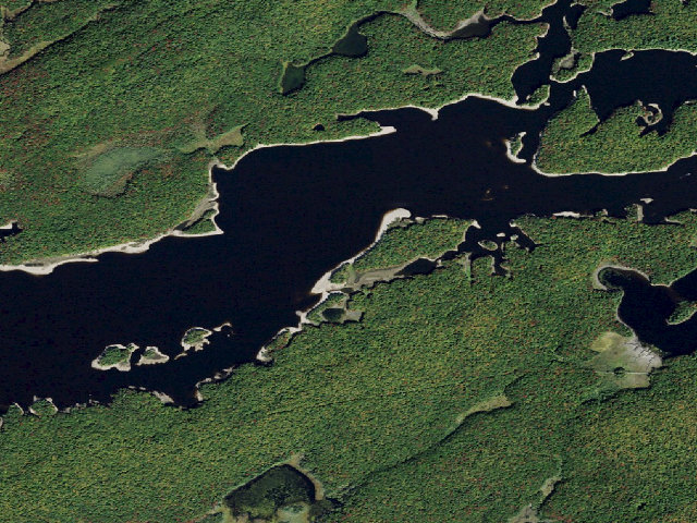 Aerial image of Campsite 31 (Independence River Wild Forest)