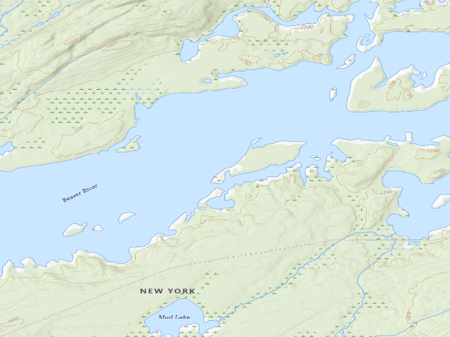 USGS topographic map of Campsite 31 (Independence River Wild Forest)