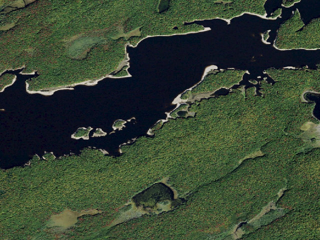 Aerial image of Campsite 32 (Independence River Wild Forest)