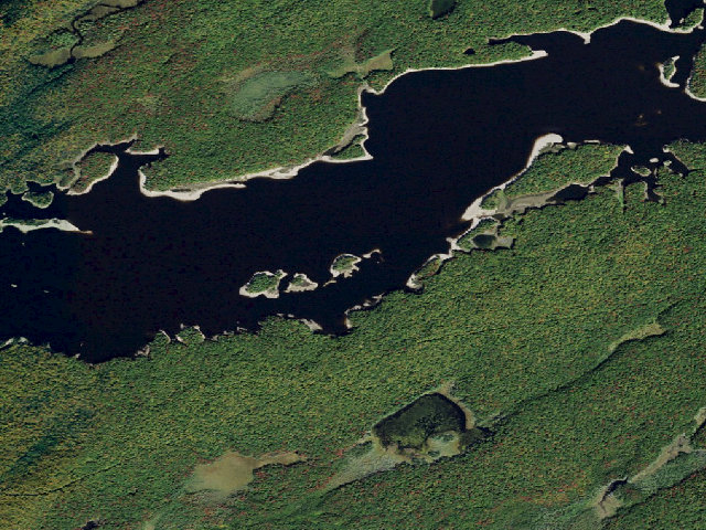 Aerial image of Campsite 33 (Independence River Wild Forest)